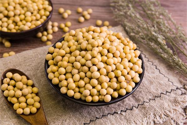 醋泡黄豆的功效与作用，生姜和黄豆泡醋的功效与作用