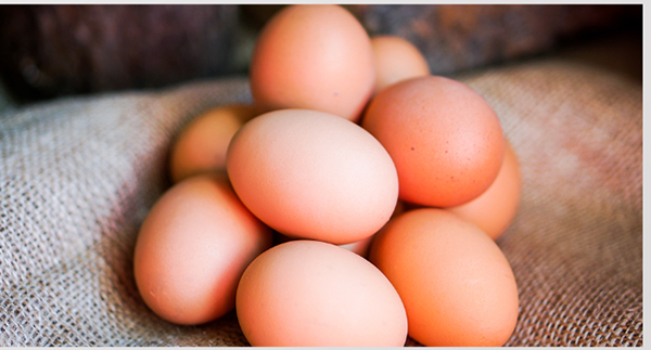 鸡蛋和菠菜可以放在一起吃吗，鸡蛋不能和哪几种食物一起食用