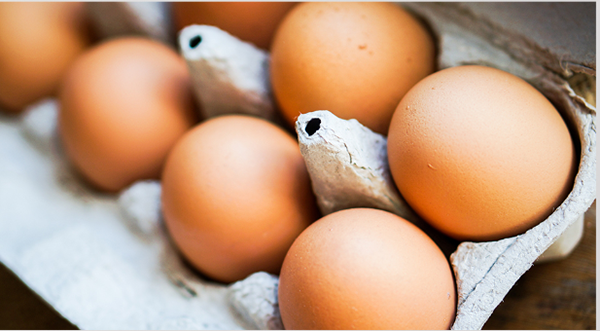 鸡蛋能减肥吗，减肥一天吃几个鸡蛋好