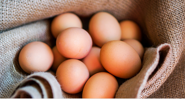 鸡蛋的功效与作用，女性早上吃鸡蛋的好处