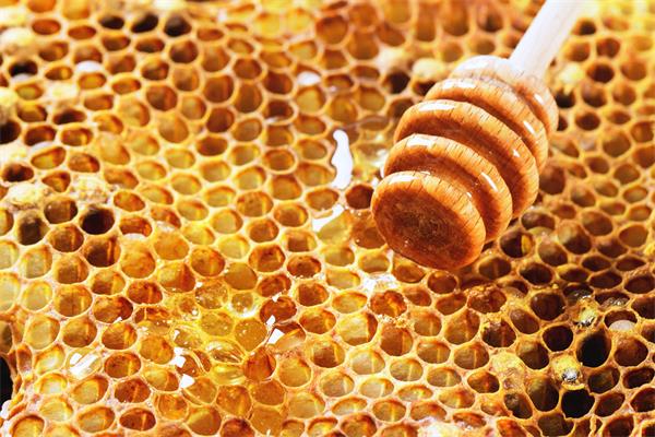 春季三品保健康：蜂蜜、板蓝根、百合